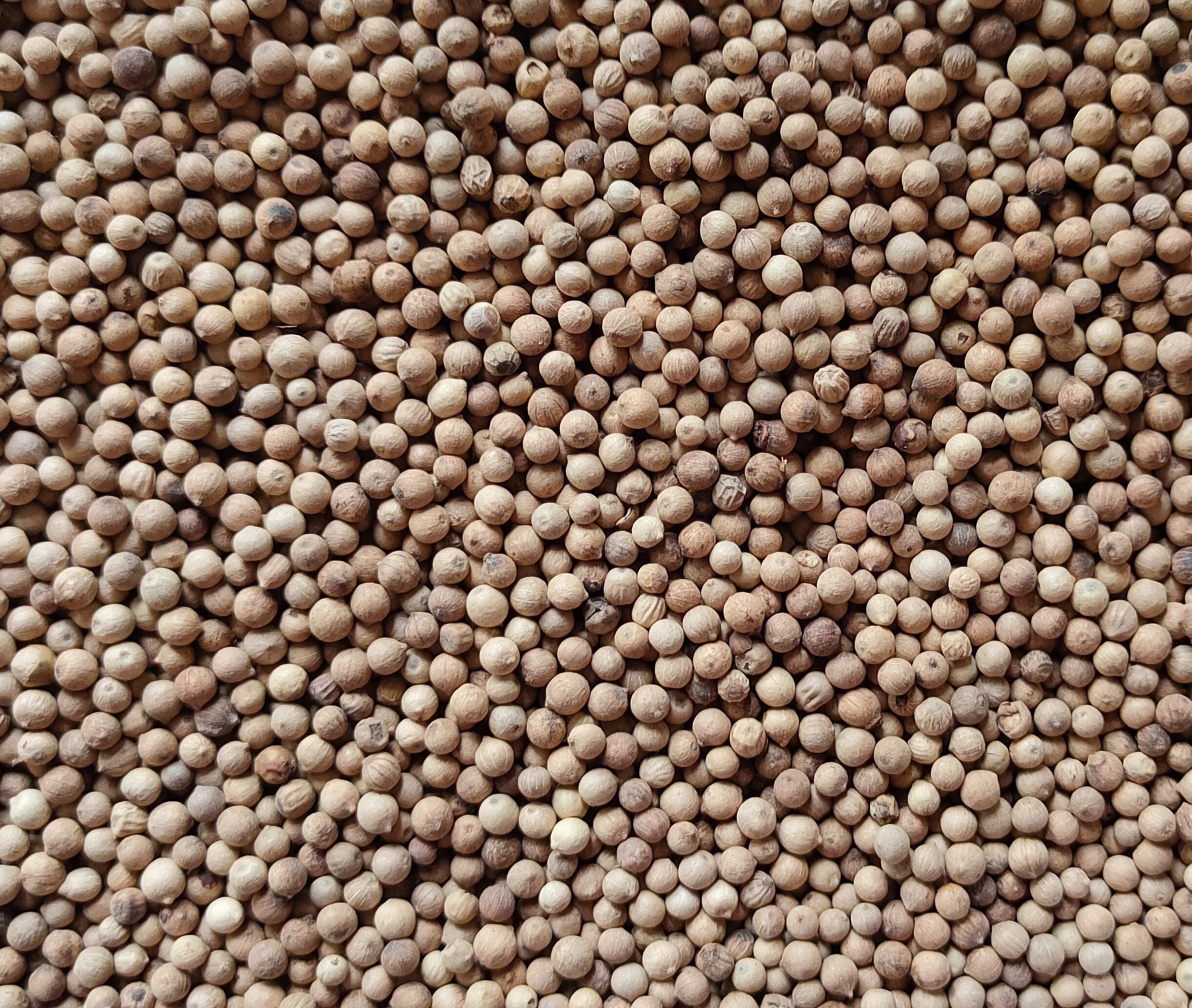 white-pepper-natural